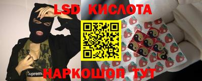 PSILOCYBIN Донской